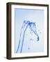 Stream of Water-Kr?ger and Gross-Framed Photographic Print