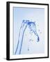 Stream of Water-Kr?ger and Gross-Framed Photographic Print