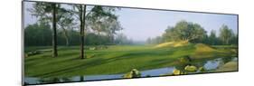 Stream on a Golf Course, Haile Plantation, Gainesville, Florida, USA-null-Mounted Photographic Print