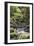 Stream on Kauaeranga Kauri Trail-Ian-Framed Photographic Print