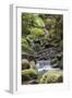 Stream on Kauaeranga Kauri Trail-Ian-Framed Photographic Print