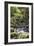 Stream on Kauaeranga Kauri Trail-Ian-Framed Photographic Print