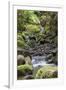 Stream on Kauaeranga Kauri Trail-Ian-Framed Photographic Print