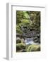 Stream on Kauaeranga Kauri Trail-Ian-Framed Photographic Print