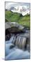 Stream on Paradise Trail near Mt. Rainier National Park lodge-Stuart Westmorland-Mounted Photographic Print