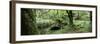 Stream Passing Through a Forest, Huelgoat Forest, Huelgoat, Brittany, France-null-Framed Photographic Print