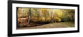 Stream passing through a forest, Rock County, Wisconsin, USA-null-Framed Photographic Print