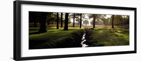 Stream Passing Through a Park, Richmond Park, London, England-null-Framed Photographic Print
