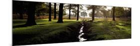 Stream Passing Through a Park, Richmond Park, London, England-null-Mounted Photographic Print