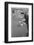 Stream Polluted with Automotive and Household Waste-Philip Gendreau-Framed Photographic Print