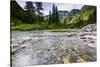 Stream, Rocks, Rushing Water, Glacier National Park, Montana-Yitzi Kessock-Stretched Canvas