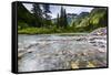 Stream, Rocks, Rushing Water, Glacier National Park, Montana-Yitzi Kessock-Framed Stretched Canvas