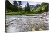 Stream, Rocks, Rushing Water, Glacier National Park, Montana-Yitzi Kessock-Stretched Canvas