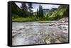 Stream, Rocks, Rushing Water, Glacier National Park, Montana-Yitzi Kessock-Framed Stretched Canvas