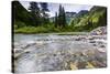 Stream, Rocks, Rushing Water, Glacier National Park, Montana-Yitzi Kessock-Stretched Canvas