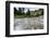 Stream, Rocks, Rushing Water, Glacier National Park, Montana-Yitzi Kessock-Framed Photographic Print