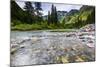 Stream, Rocks, Rushing Water, Glacier National Park, Montana-Yitzi Kessock-Mounted Photographic Print