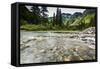 Stream, Rocks, Rushing Water, Glacier National Park, Montana-Yitzi Kessock-Framed Stretched Canvas