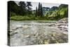 Stream, Rocks, Rushing Water, Glacier National Park, Montana-Yitzi Kessock-Stretched Canvas