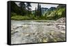 Stream, Rocks, Rushing Water, Glacier National Park, Montana-Yitzi Kessock-Framed Stretched Canvas