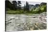 Stream, Rocks, Rushing Water, Glacier National Park, Montana-Yitzi Kessock-Stretched Canvas