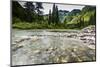 Stream, Rocks, Rushing Water, Glacier National Park, Montana-Yitzi Kessock-Mounted Photographic Print