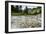 Stream, Rocks, Rushing Water, Glacier National Park, Montana-Yitzi Kessock-Framed Photographic Print