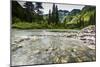 Stream, Rocks, Rushing Water, Glacier National Park, Montana-Yitzi Kessock-Mounted Photographic Print