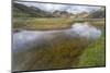 Stream Running Through a Meadow in Landmannalaugar, Iceland-Gavriel Jecan-Mounted Photographic Print