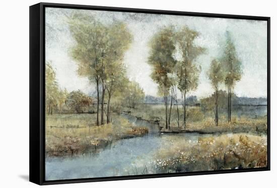 Stream Side I-Tim O'toole-Framed Stretched Canvas