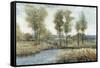 Stream Side I-Tim O'toole-Framed Stretched Canvas