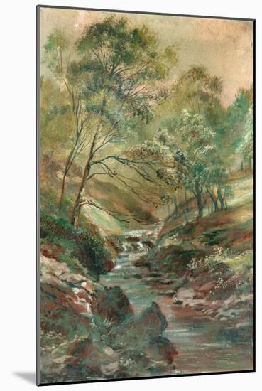 Stream through a Wood-null-Mounted Giclee Print