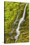 Stream Through Moss, Iceland, Polar Regions-James-Stretched Canvas