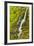 Stream Through Moss, Iceland, Polar Regions-James-Framed Photographic Print