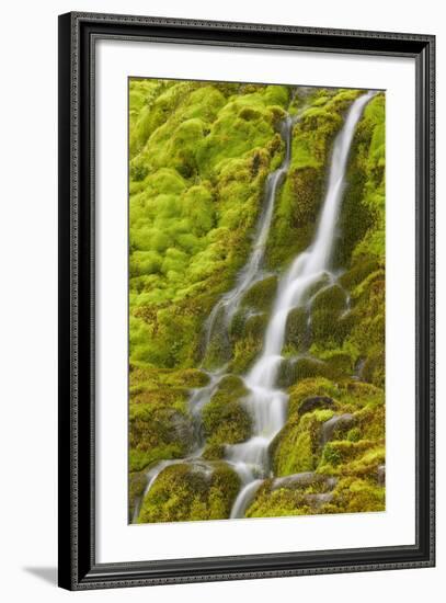 Stream Through Moss, Iceland, Polar Regions-James-Framed Photographic Print