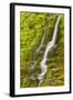 Stream Through Moss, Iceland, Polar Regions-James-Framed Photographic Print
