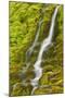 Stream Through Moss, Iceland, Polar Regions-James-Mounted Photographic Print