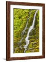 Stream Through Moss, Iceland, Polar Regions-James-Framed Photographic Print