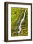 Stream Through Moss, Iceland, Polar Regions-James-Framed Photographic Print