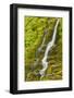 Stream Through Moss, Iceland, Polar Regions-James-Framed Photographic Print