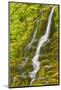 Stream Through Moss, Iceland, Polar Regions-James-Mounted Photographic Print