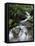 Stream Through Rainforest, Lewis Pass, South Island, New Zealand, Pacific-James Hager-Framed Stretched Canvas