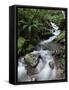 Stream Through Rainforest, Lewis Pass, South Island, New Zealand, Pacific-James Hager-Framed Stretched Canvas