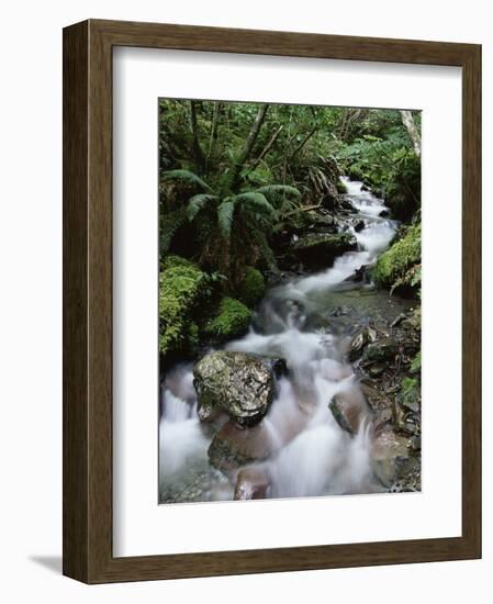 Stream Through Rainforest, Lewis Pass, South Island, New Zealand, Pacific-James Hager-Framed Photographic Print
