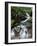 Stream Through Rainforest, Lewis Pass, South Island, New Zealand, Pacific-James Hager-Framed Photographic Print