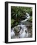 Stream Through Rainforest, Lewis Pass, South Island, New Zealand, Pacific-James Hager-Framed Photographic Print