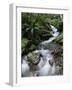 Stream Through Rainforest, Lewis Pass, South Island, New Zealand, Pacific-James Hager-Framed Photographic Print