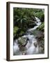 Stream Through Rainforest, Lewis Pass, South Island, New Zealand, Pacific-James Hager-Framed Photographic Print