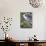 Stream Through Wildflowers, American Basin, Uncompahgre National Forest, Colorado, USA-James Hager-Photographic Print displayed on a wall