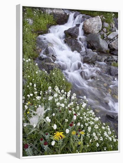 Stream Through Wildflowers, American Basin, Uncompahgre National Forest, Colorado, USA-James Hager-Framed Photographic Print